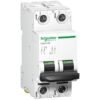 A9N61521 | قاطع كهربائي مصغر - C60H - 2 قطب - 1 منحنى A - C